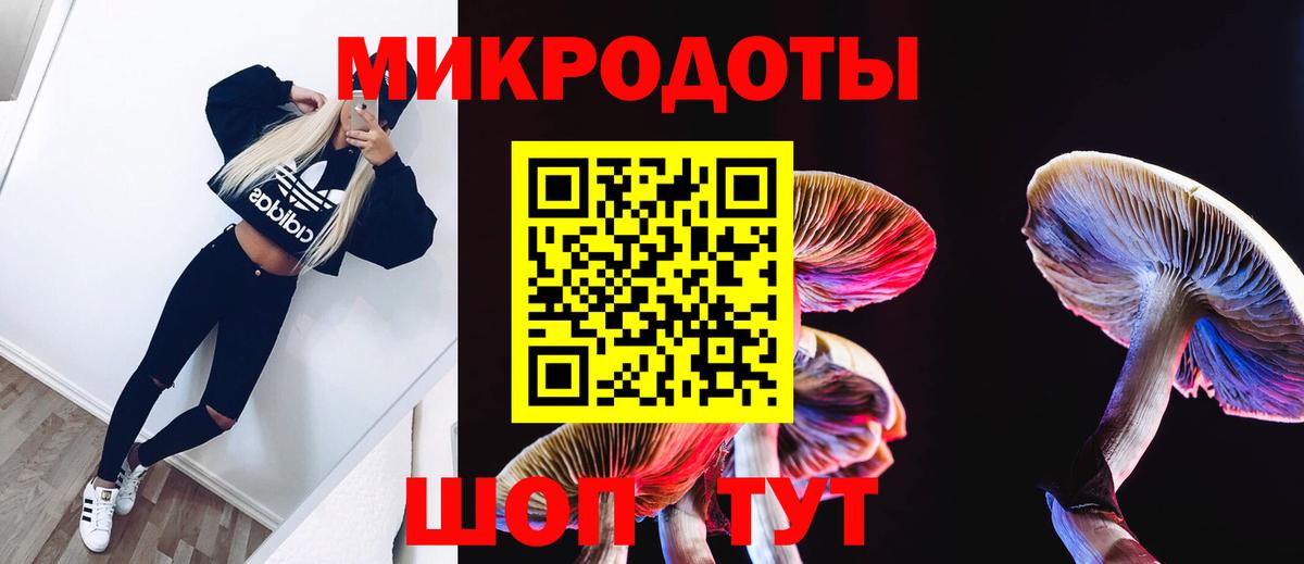Галлюциногенные грибы ЛСД  Вход с VPN  Камень-на-Оби  Псилоцибиновые грибы Psilocybe 